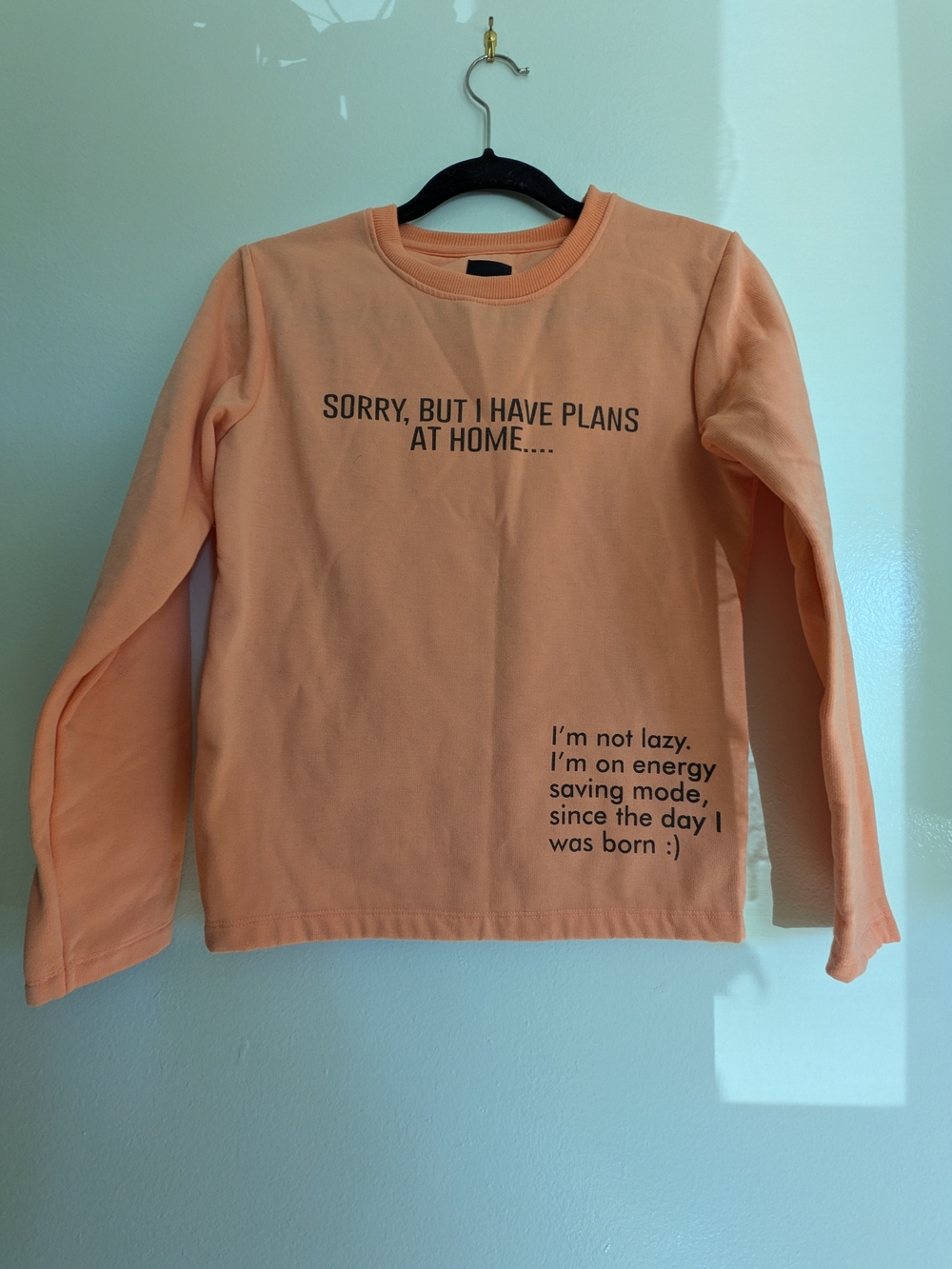 Women's Peach Graphic Sweatshirt - Sorry, But I Have Plans At Home